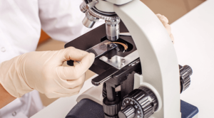 Lab Microscope With Sample Testing