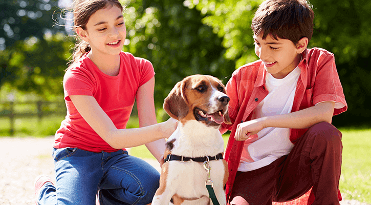 Microchipping Kids Happy Their Dog Has Returned To Them