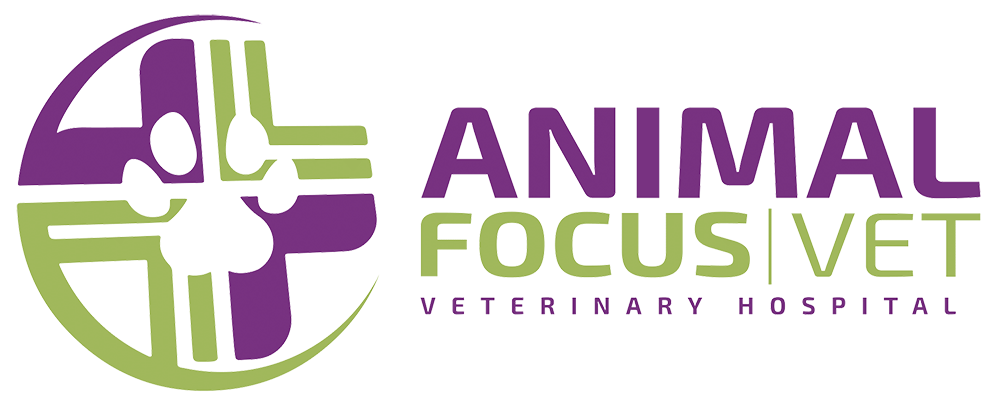 Animal Focus Vet