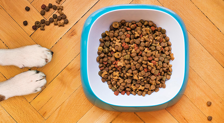 mathew-coulton-zxqaAkkayP8-unsplash Pet Food
